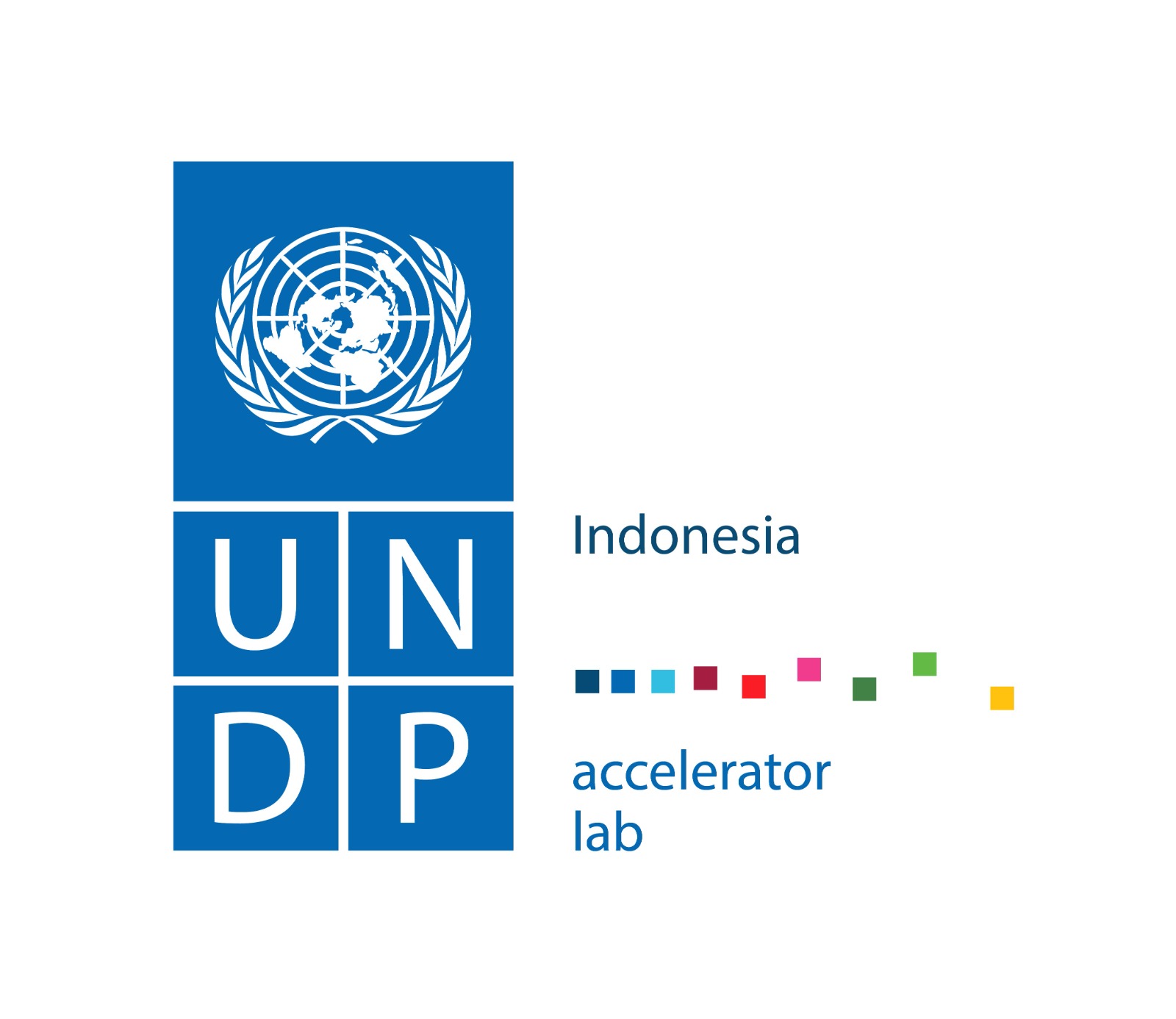 UNDP Accelerator Lab